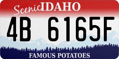 ID license plate 4B6165F