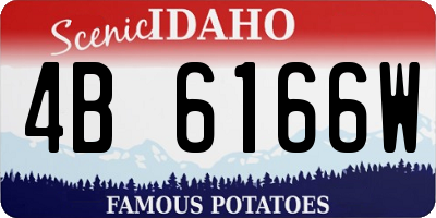 ID license plate 4B6166W