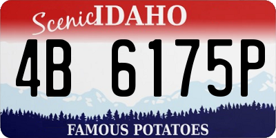 ID license plate 4B6175P