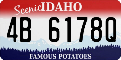 ID license plate 4B6178Q