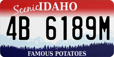ID license plate 4B6189M