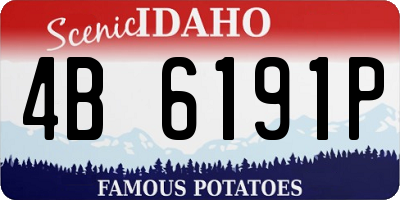 ID license plate 4B6191P