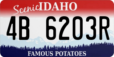 ID license plate 4B6203R