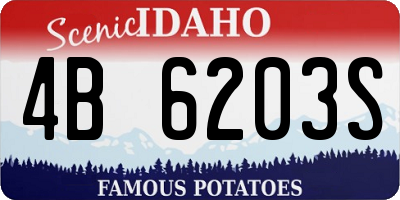 ID license plate 4B6203S