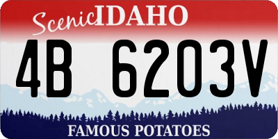 ID license plate 4B6203V