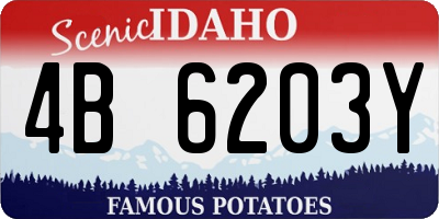 ID license plate 4B6203Y