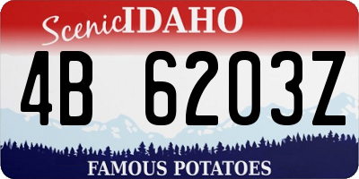 ID license plate 4B6203Z