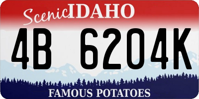 ID license plate 4B6204K