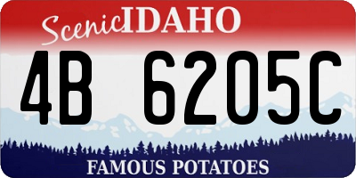 ID license plate 4B6205C