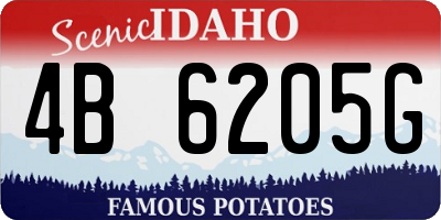 ID license plate 4B6205G