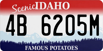 ID license plate 4B6205M