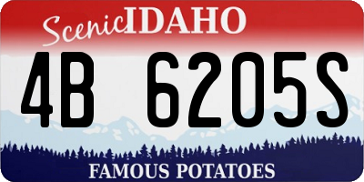 ID license plate 4B6205S