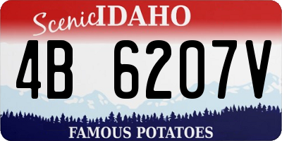 ID license plate 4B6207V