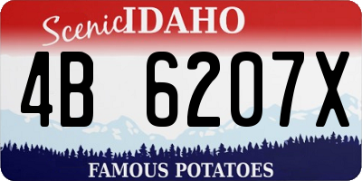 ID license plate 4B6207X