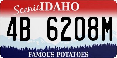 ID license plate 4B6208M