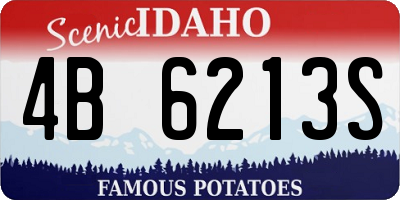 ID license plate 4B6213S
