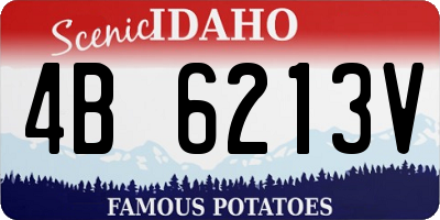 ID license plate 4B6213V