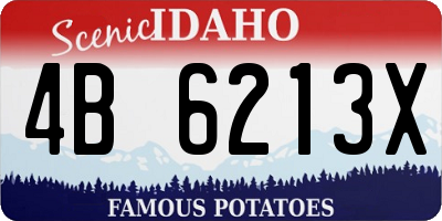 ID license plate 4B6213X