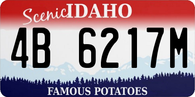 ID license plate 4B6217M
