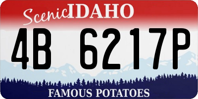 ID license plate 4B6217P