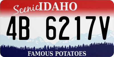 ID license plate 4B6217V
