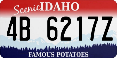 ID license plate 4B6217Z