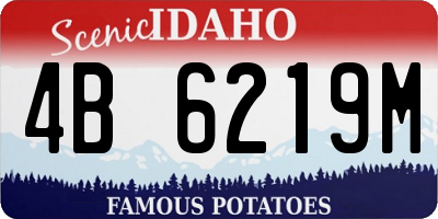 ID license plate 4B6219M