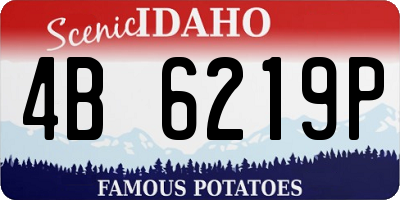 ID license plate 4B6219P