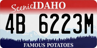 ID license plate 4B6223M