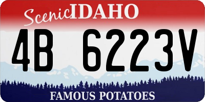 ID license plate 4B6223V