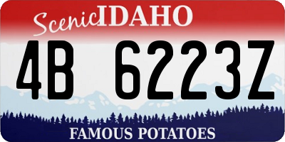 ID license plate 4B6223Z