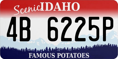 ID license plate 4B6225P