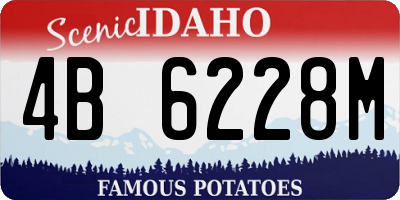 ID license plate 4B6228M