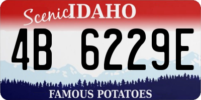 ID license plate 4B6229E