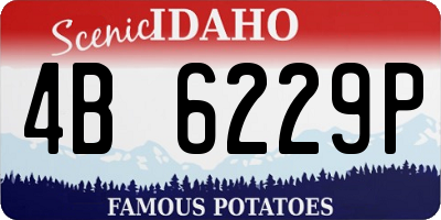 ID license plate 4B6229P