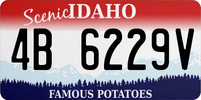 ID license plate 4B6229V