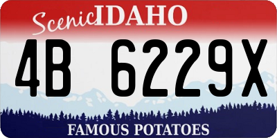 ID license plate 4B6229X