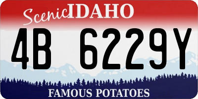 ID license plate 4B6229Y