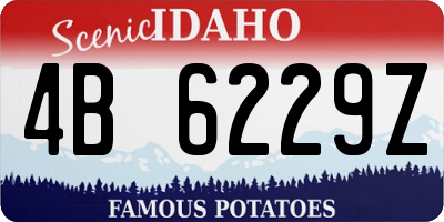 ID license plate 4B6229Z