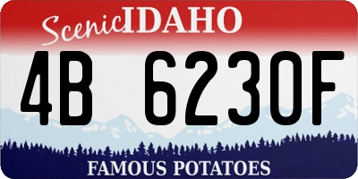 ID license plate 4B6230F