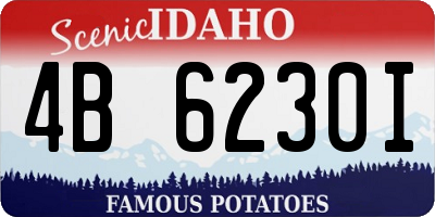 ID license plate 4B6230I