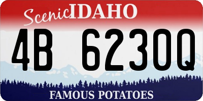 ID license plate 4B6230Q