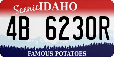 ID license plate 4B6230R