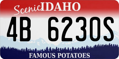 ID license plate 4B6230S