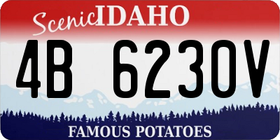 ID license plate 4B6230V
