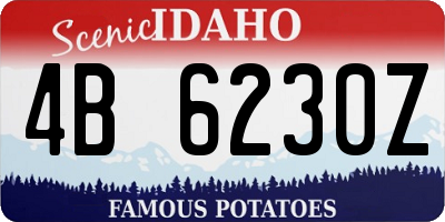 ID license plate 4B6230Z