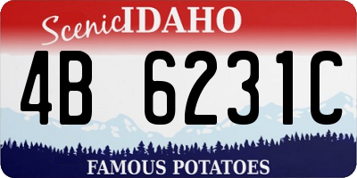 ID license plate 4B6231C