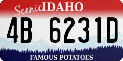 ID license plate 4B6231D