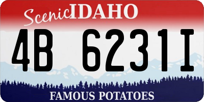 ID license plate 4B6231I