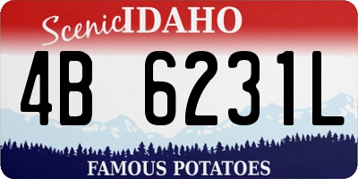 ID license plate 4B6231L